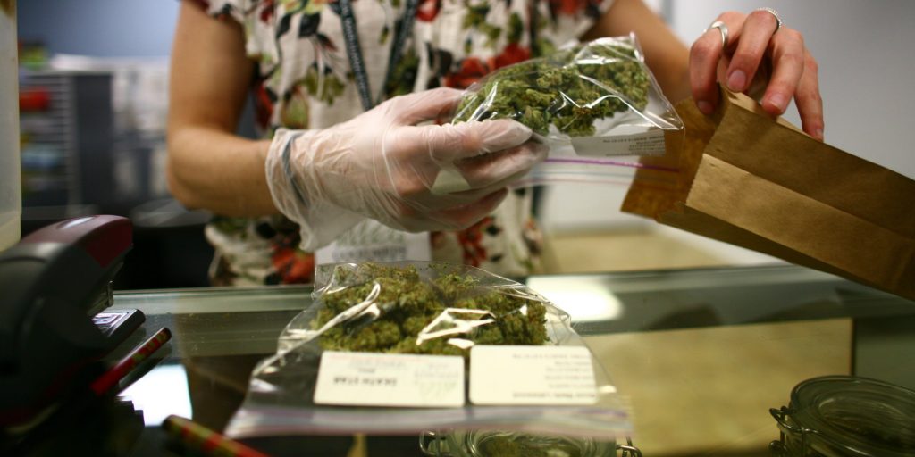 Cannabis: El 17 por ciento de las personas lo usan con fines medicinales