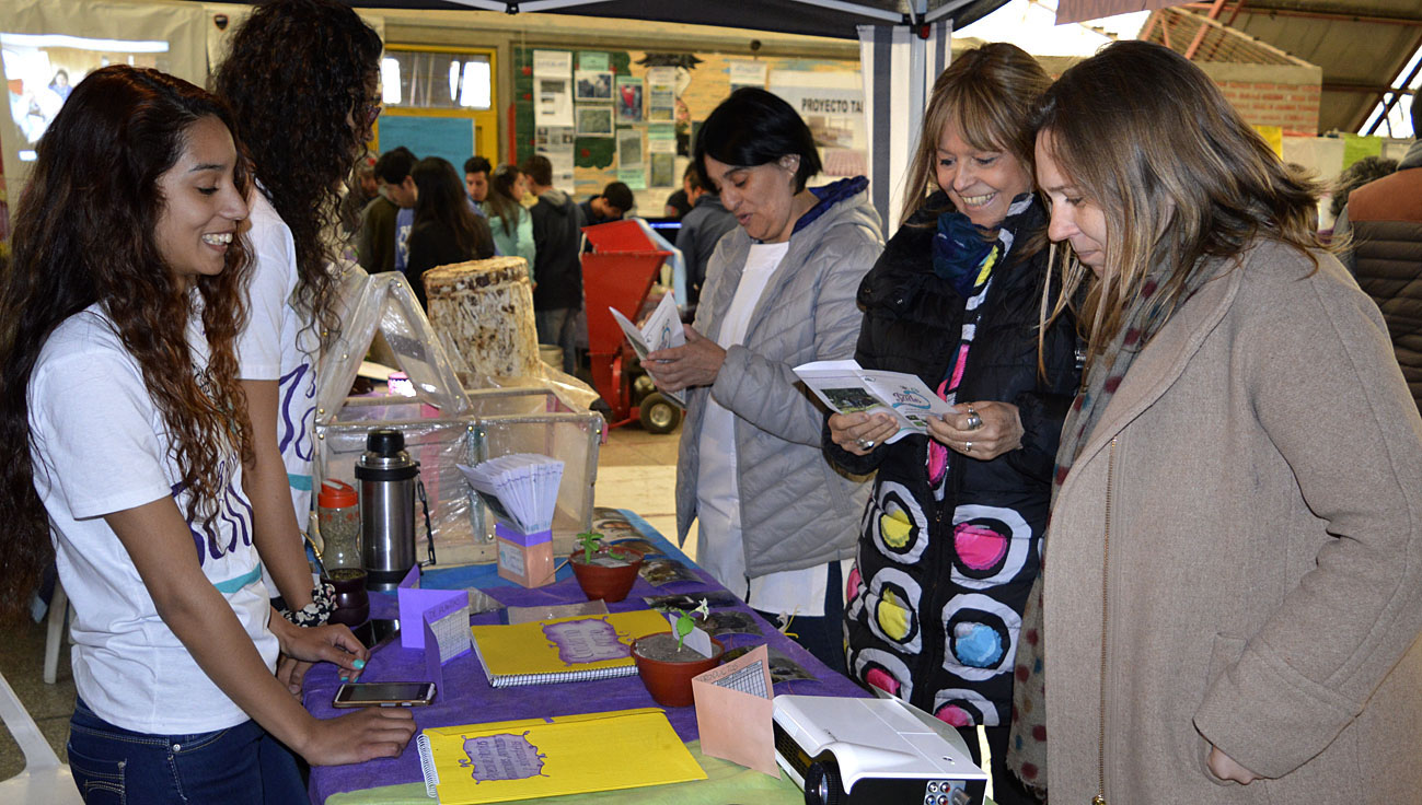 feria provincial de ciencias