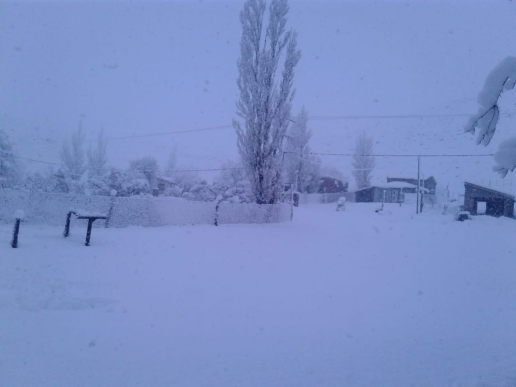 Alerta por nieve en el sur de Neuquén