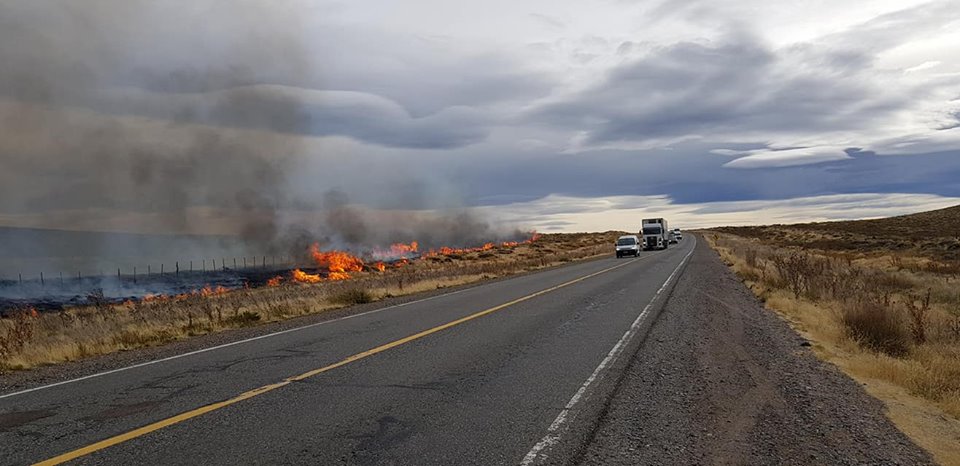 Solicitan extremar recaudos para evitar incendios forestales