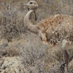 1513909701462-750×375