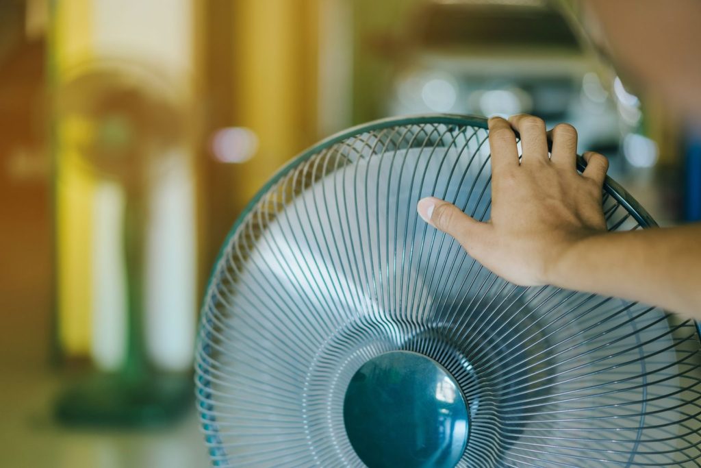 Calor: Patagonia Argentina marcó las temperaturas más altas de la jornada