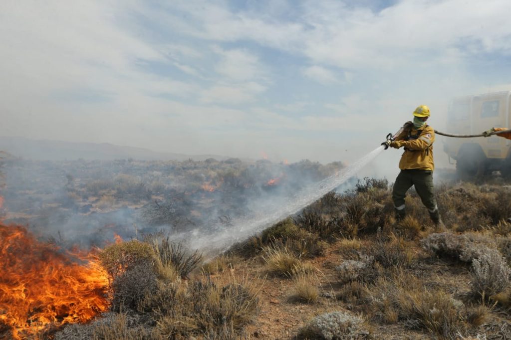 Los incendios forestales no dan respiro en Neuquén y Río Negro