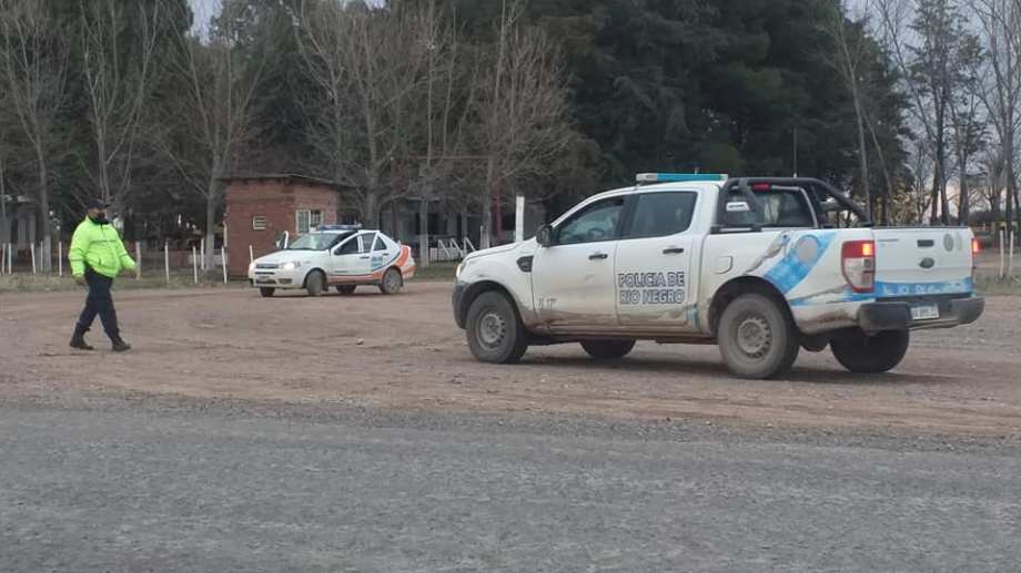 Encuentran jabalíes faenados en una lancha