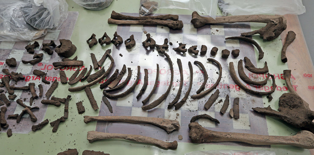 Comenzó la investigación de los restos arqueológico hallados 