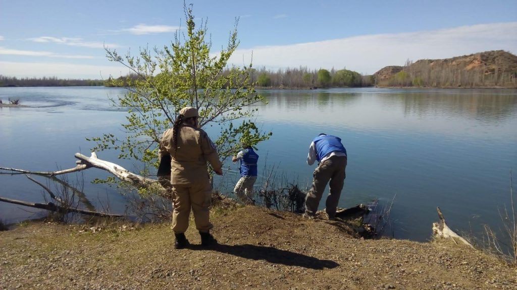 Evalúan la calidad de las aguas del Limay