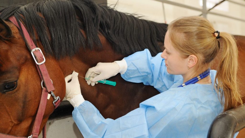 La provincia comienza a utilizar el suero equino en pacientes con Covid