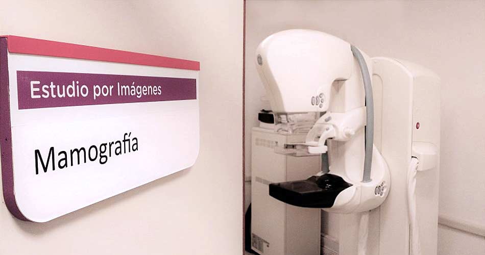 Cipolletti presentó una plataforma virtual para acceder a mamografías