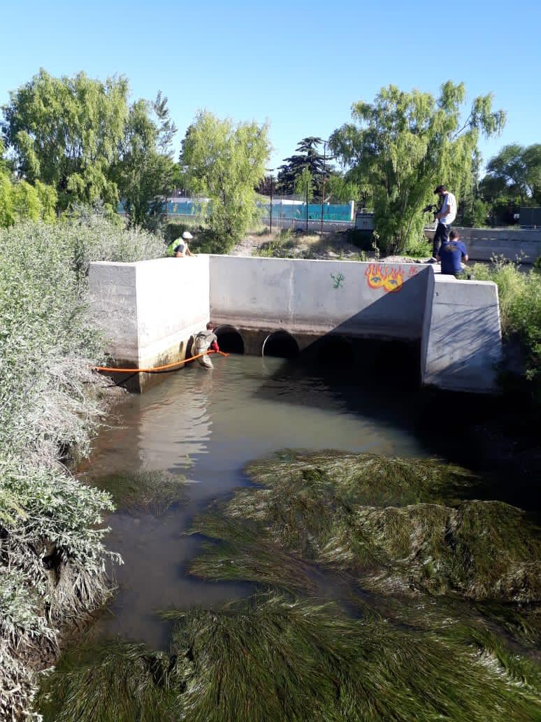 Una gran cantidad de desechos se retiraron de la desembocadura del Arroyo Durán