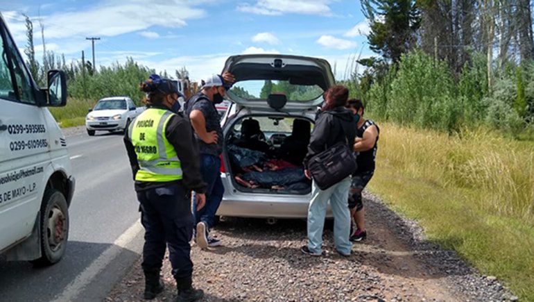 Un joven intentó ingresar a Cipolletti con 160 kilos de carne en el baúl del auto