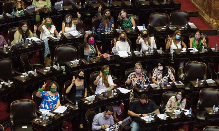 Tras el aborto legal, los diputados nacionales dieron media sanción al ‘Plan de los mil días’