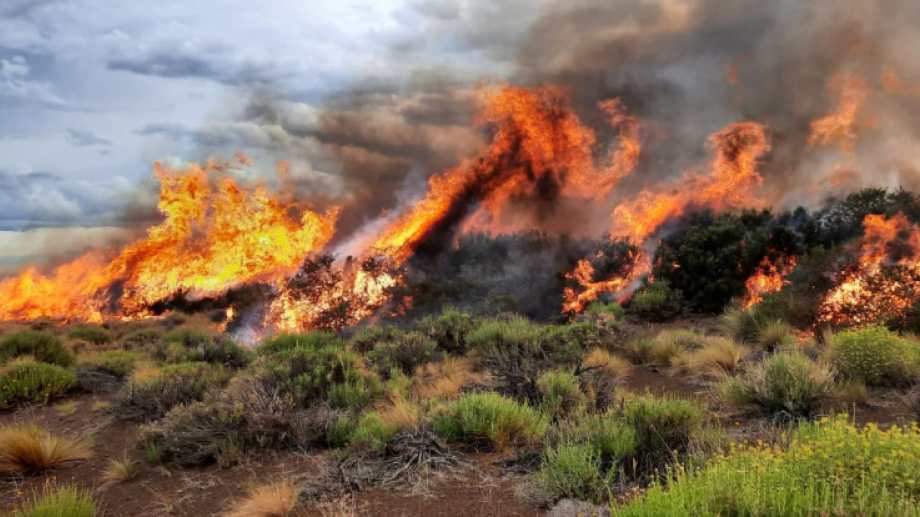 El calor y el viento dificultan los intentos por extinguir el fuego en Loncopué