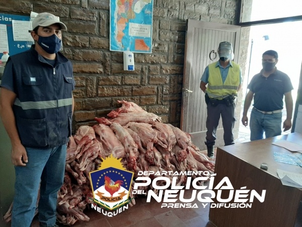 Decomisaron 90 piezas de ganado faenado que iban a ser ingresadas ilegalmente a la provincia