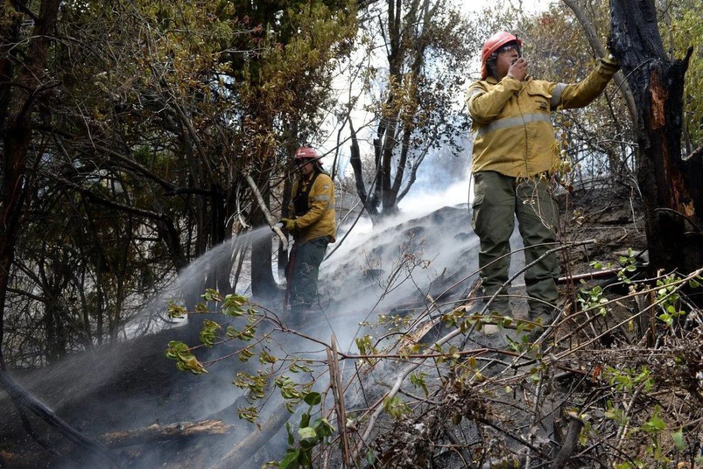 Vecinos de El Bolsón organizaron una colecta para colaborar en la zona del incendio