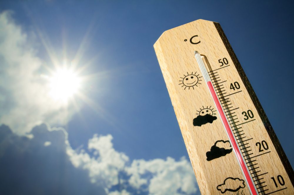 Ola de calor en Neuquén y Río Negro