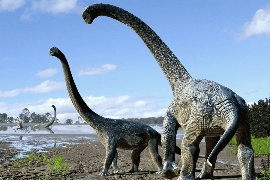 El dinosaurio hallado en Vaca Muerta podría ser el más grande de la historia