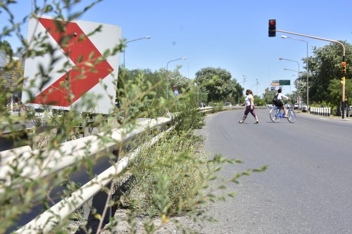 El municipio neuquino limpiará y desmalezará la Ruta 22