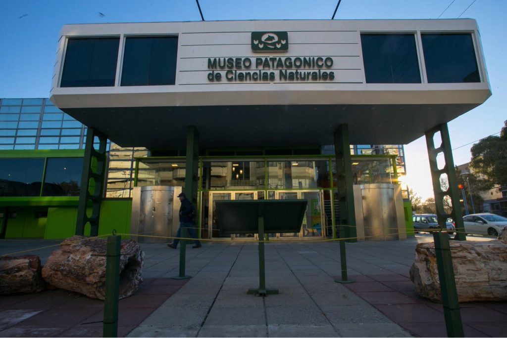 El Museo de Roca albergará los huesos del «pequeño» dinosaurio carnívoro