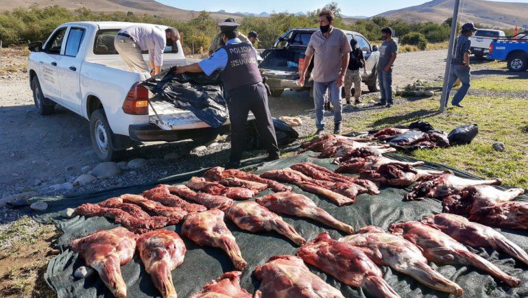 Dos demorados con 500 kilos de carne de ciervo