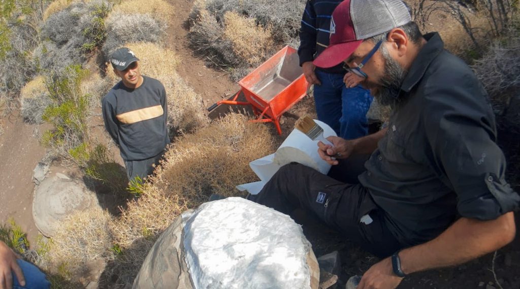 Rescataron restos fósiles de un reptil marino en el norte neuquino