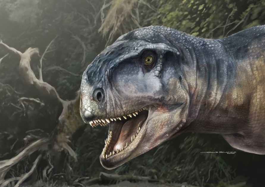 Hallan en Rincón de los Sauces los restos de un temible dinosaurio asesino del Cretácico