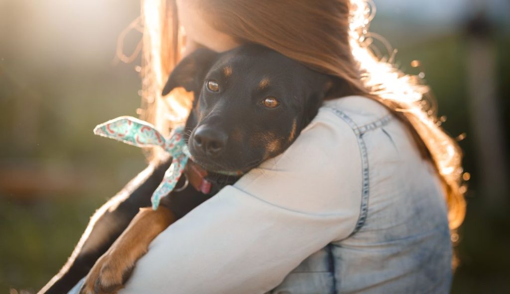 Fernández Oro: Los adoptantes de perritos no pagarán impuestos por un año