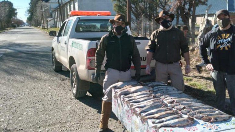 Pesca furtiva: Secuestraron 31 truchas en Junín de los Andes