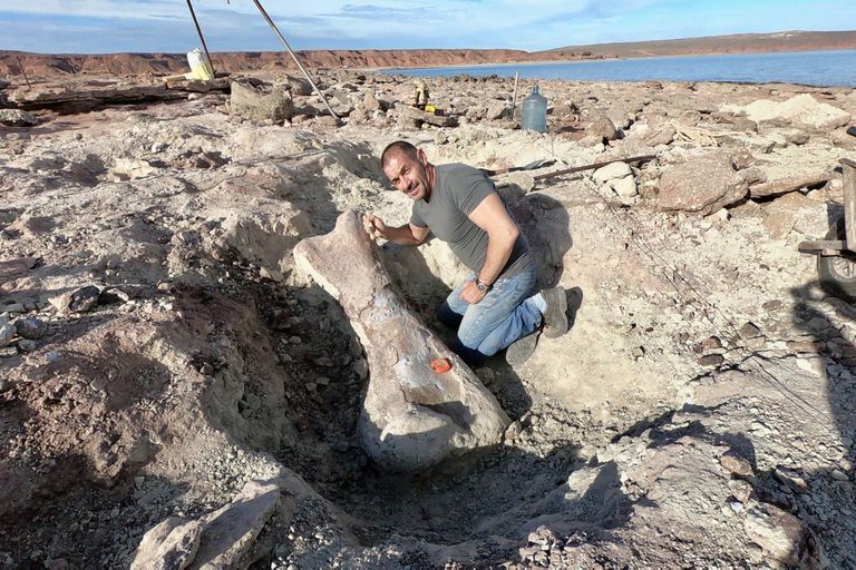 Hallaron los restos de un dinosaurio gigante de 90 millones de años en Los Barreales