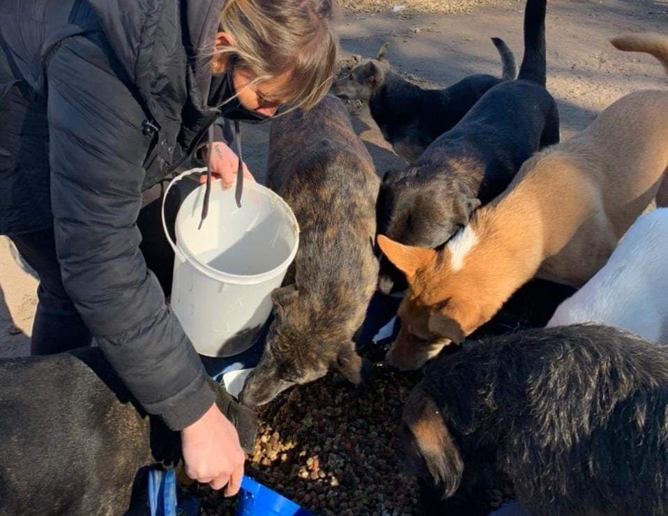 En las mejores manos: El refugio de animales de Cipolletti quedó a cargo de proteccionistas