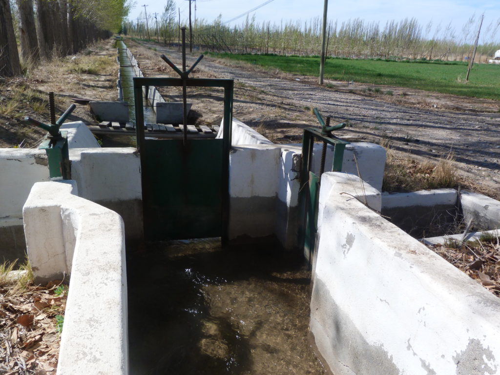 Hay preocupación por las chacras rionegrinas frente a la falta de agua
