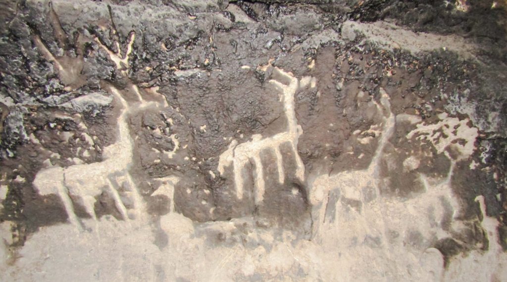 Pilo Lil: Encontraron cuevas con arte rupestre y vasijas de 500 años de antigüedad