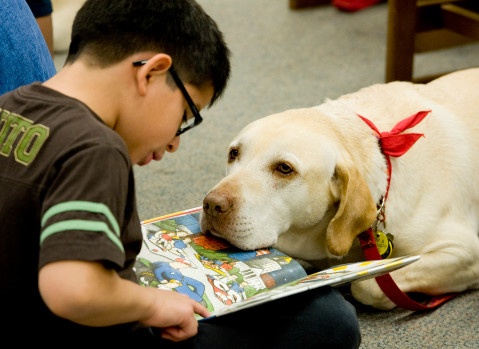 Las mascotas tendrán un lugar en la Feria del Libro