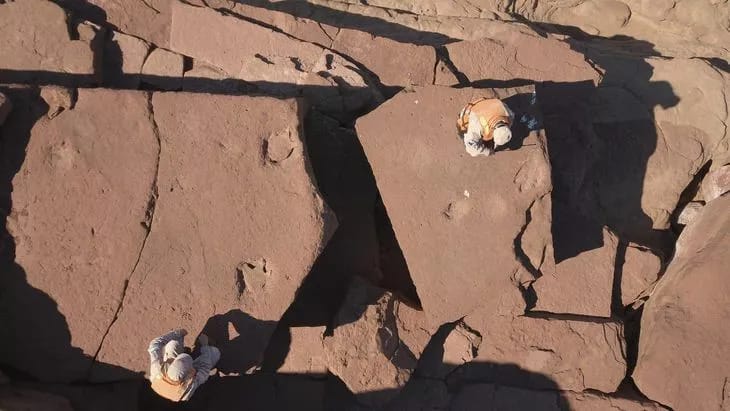 Hallaron huellas de un dinosaurio bípedo cerca del lago Ezequiel Ramos Mexía