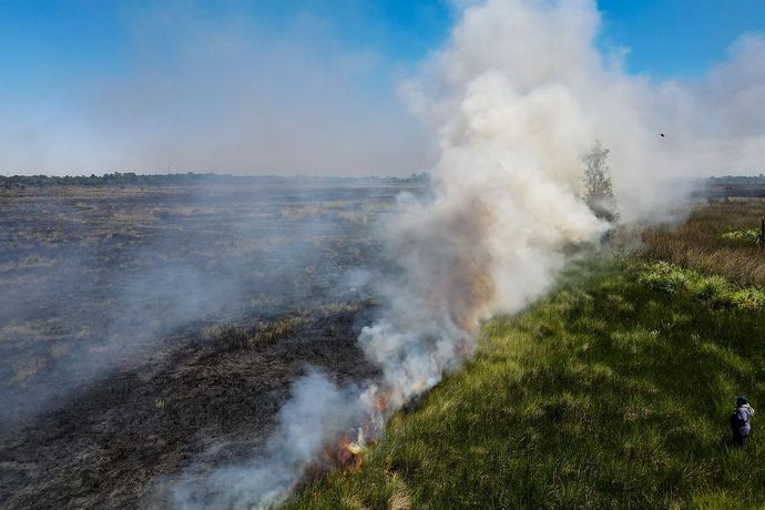 Investigan si el incendio en el Parque Nacional Ciervo de los Pantanos fue intencional
