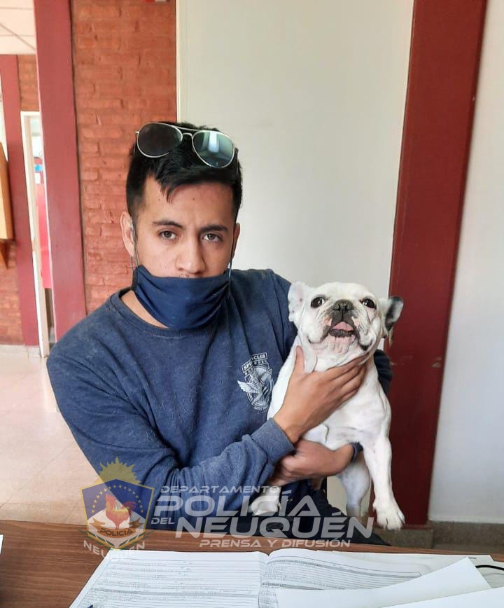 Allanan una vivienda en Cutral Co y recuperan un perro robado