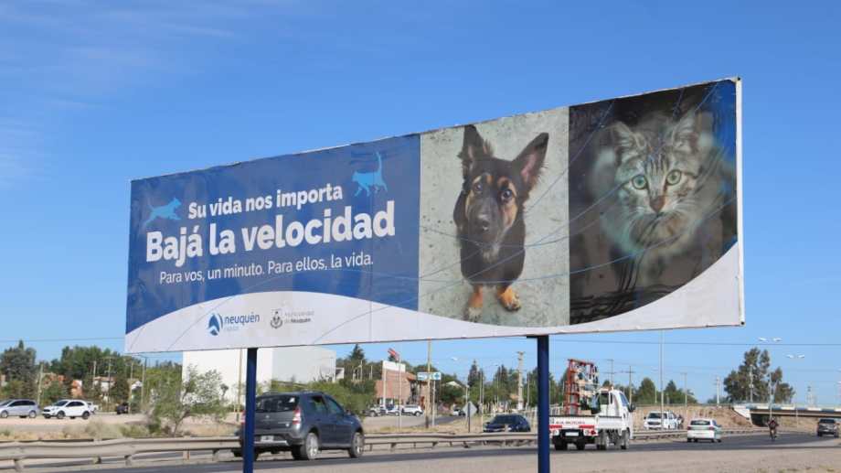 Colocaron cartelería en la ruta para la seguridad de los animales