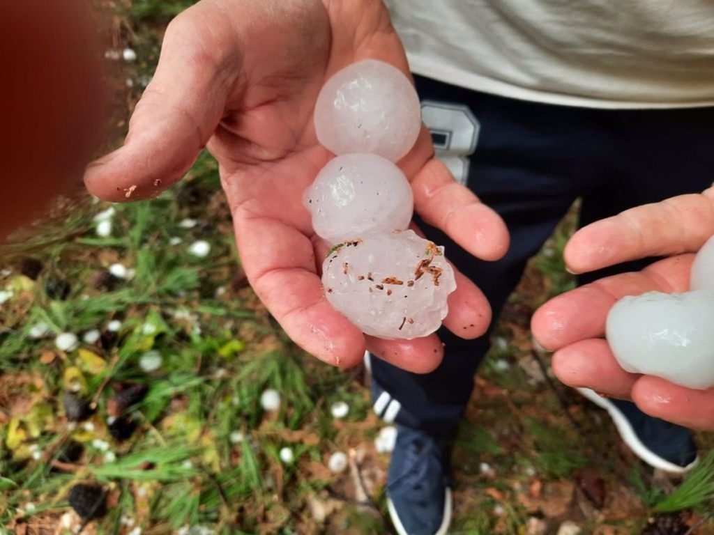 Río Negro: Nación declaró la emergencia agropecuaria por sequía, heladas y granizo