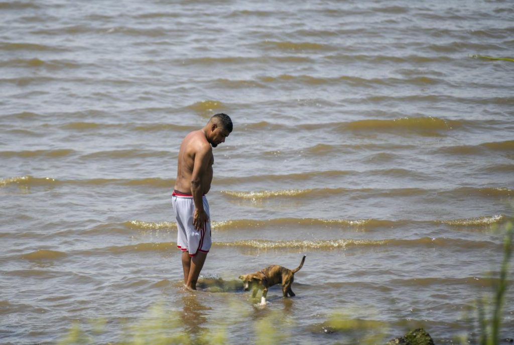 Neuquén entre las provincias con alerta roja por el calor extremo