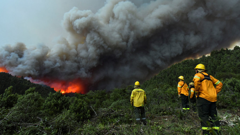 La cordillera y la zona centro están amenazadas por los incendios forestales en el verano