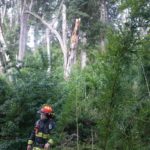 bombero