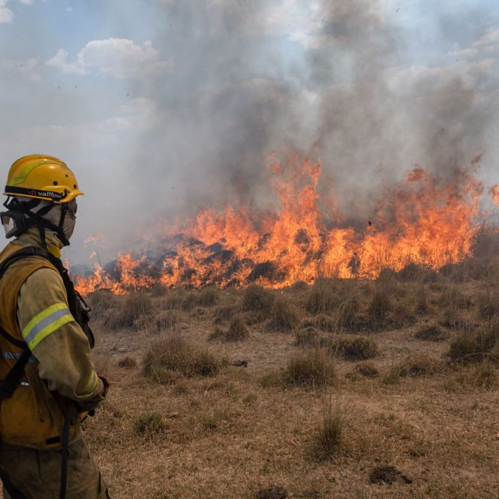 Neuquén planea comprar dos transportes aéreos contra incendios forestales