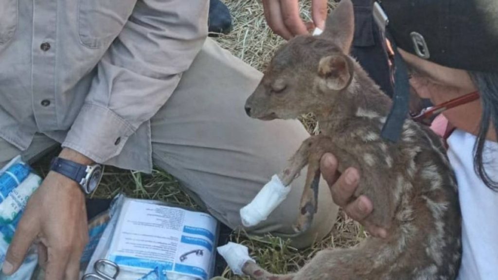 Corrientes aguarda con desesperación por las lluvias