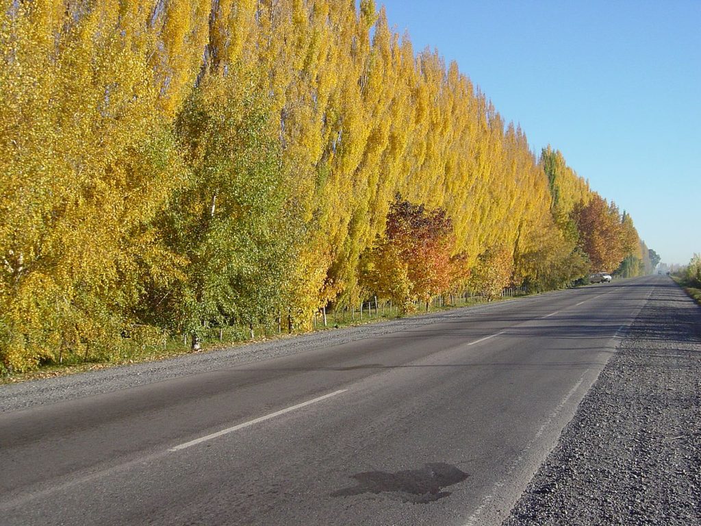 Autorizan la colocación de radares en Contraalmirante Cordero