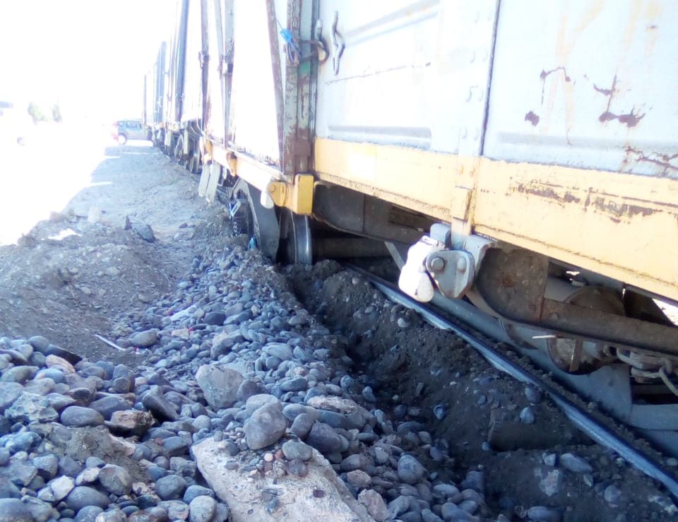 El tren de carga descarriló a la altura de la ETON