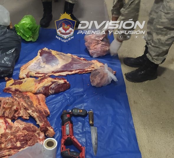 Transportaba 100 kilos de carne faenada en un Renault Clio