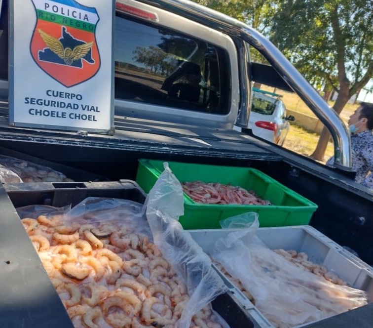 Hombre viajaba con 180 kilos de mariscos en la caja de su camioneta
