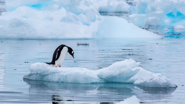 La capa de hielo marino de la Antártida está en su mínimo histórico