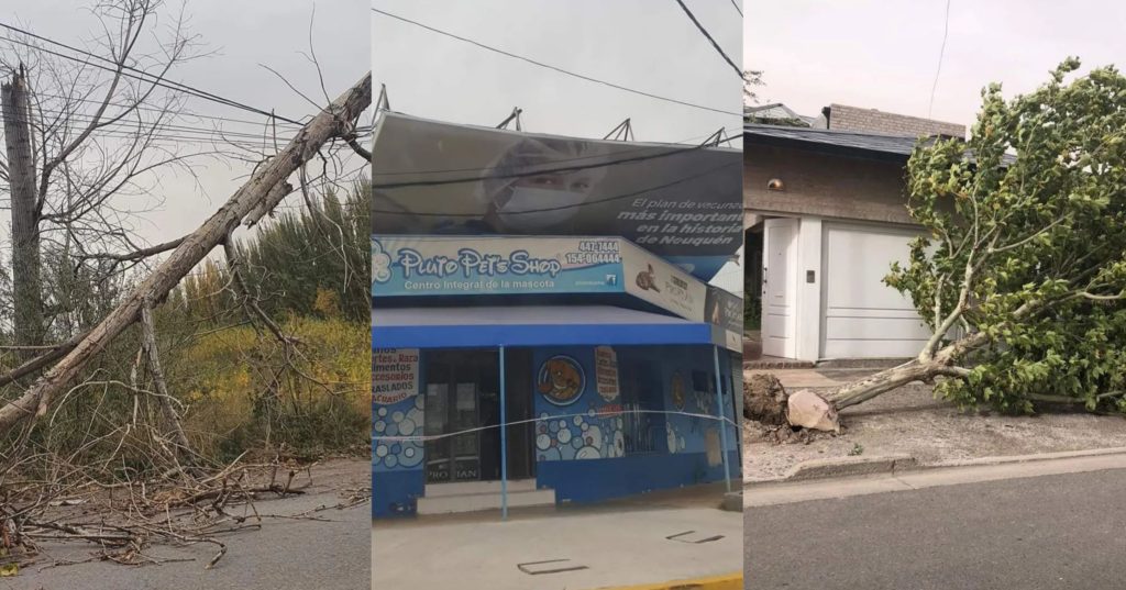 Las fuertes ráfagas de viento dejaron árboles caídos y barrios sin luz