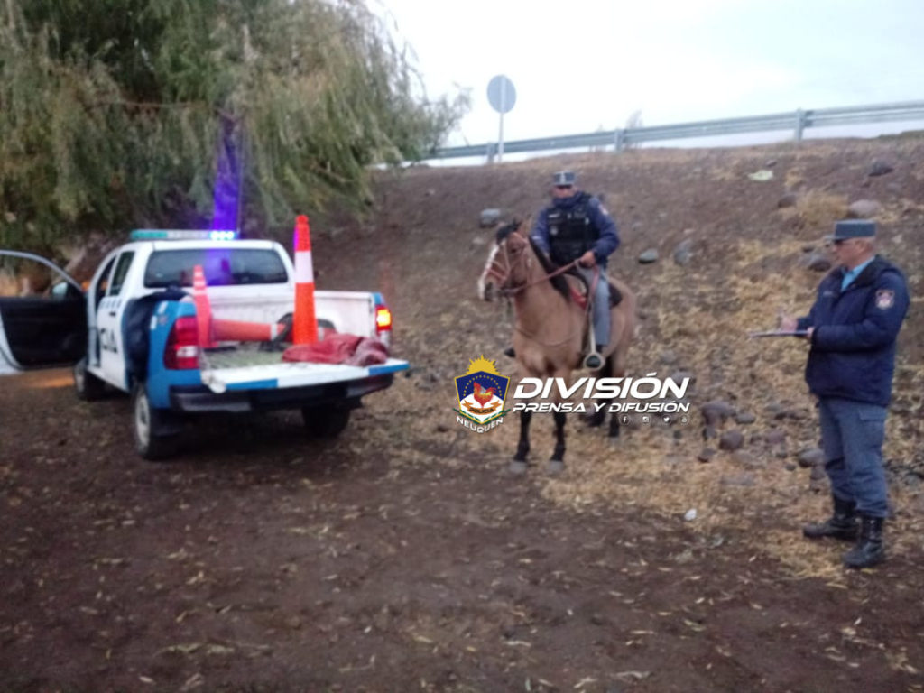 Las Ovejas: Personal policial recuperó un equino robado en Chile