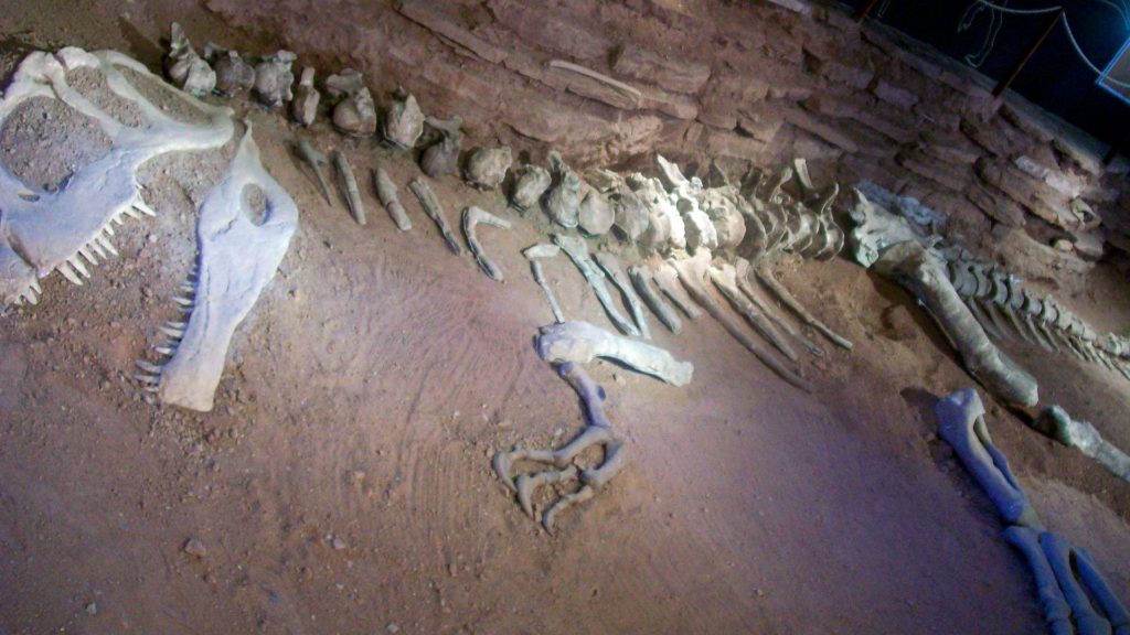 Carolini reflexionó sobre el traslado del dinosaurio en su boggie tras el anuncio de Jurassic World